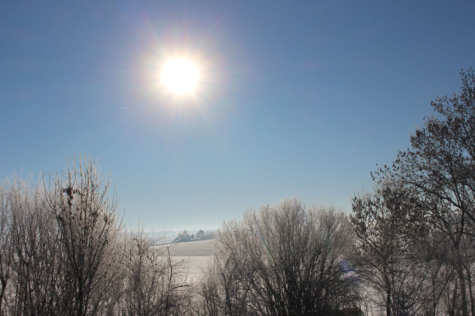 Canon EOS 700D (EOS Rebel T5i / EOS Kiss X7i) sample photo. Winter sun, snow, wintry photography