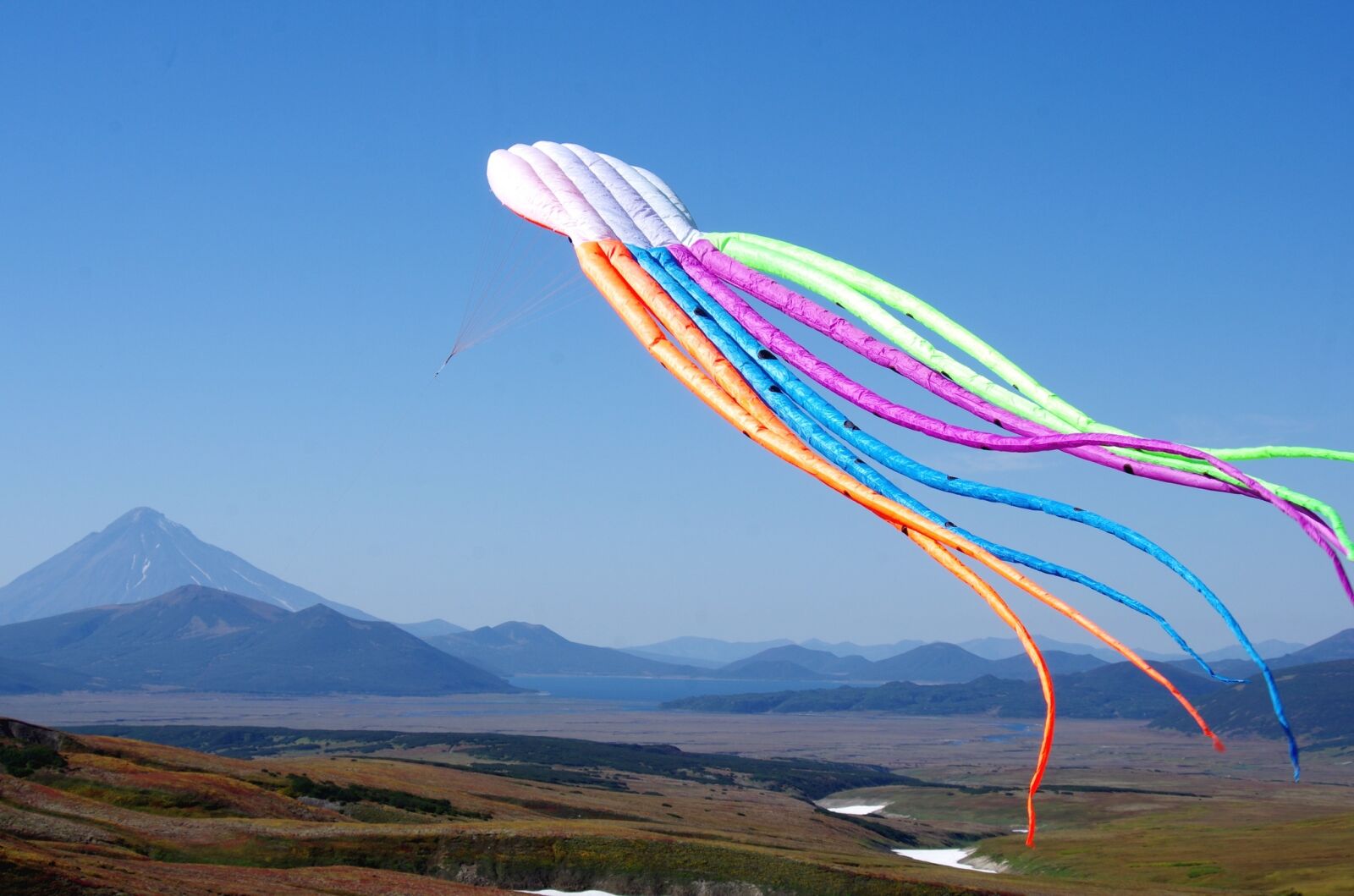 Pentax K-5 sample photo. Kite, flight, height photography