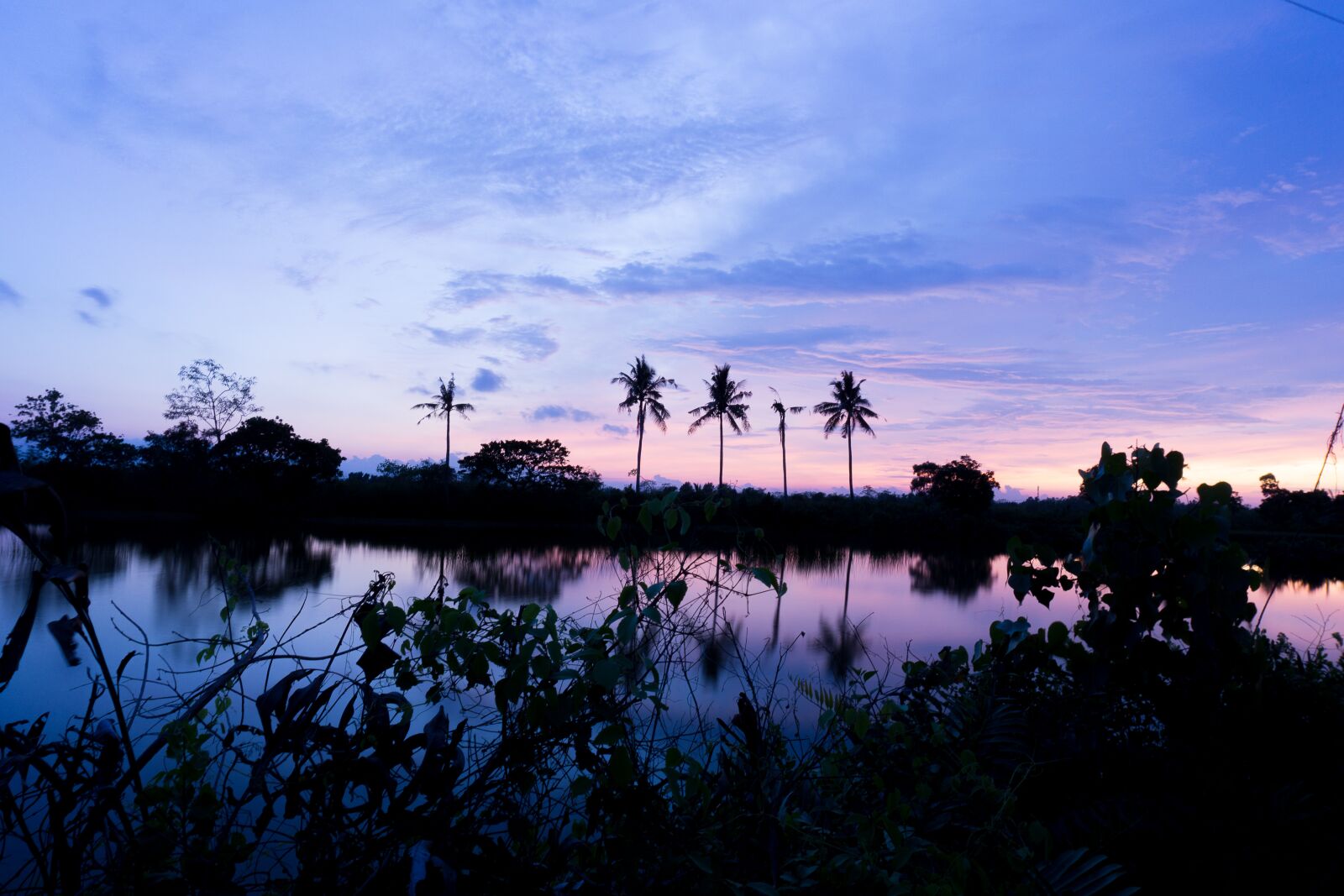 Sony a6000 sample photo. Sunset, lake, coconut tree photography