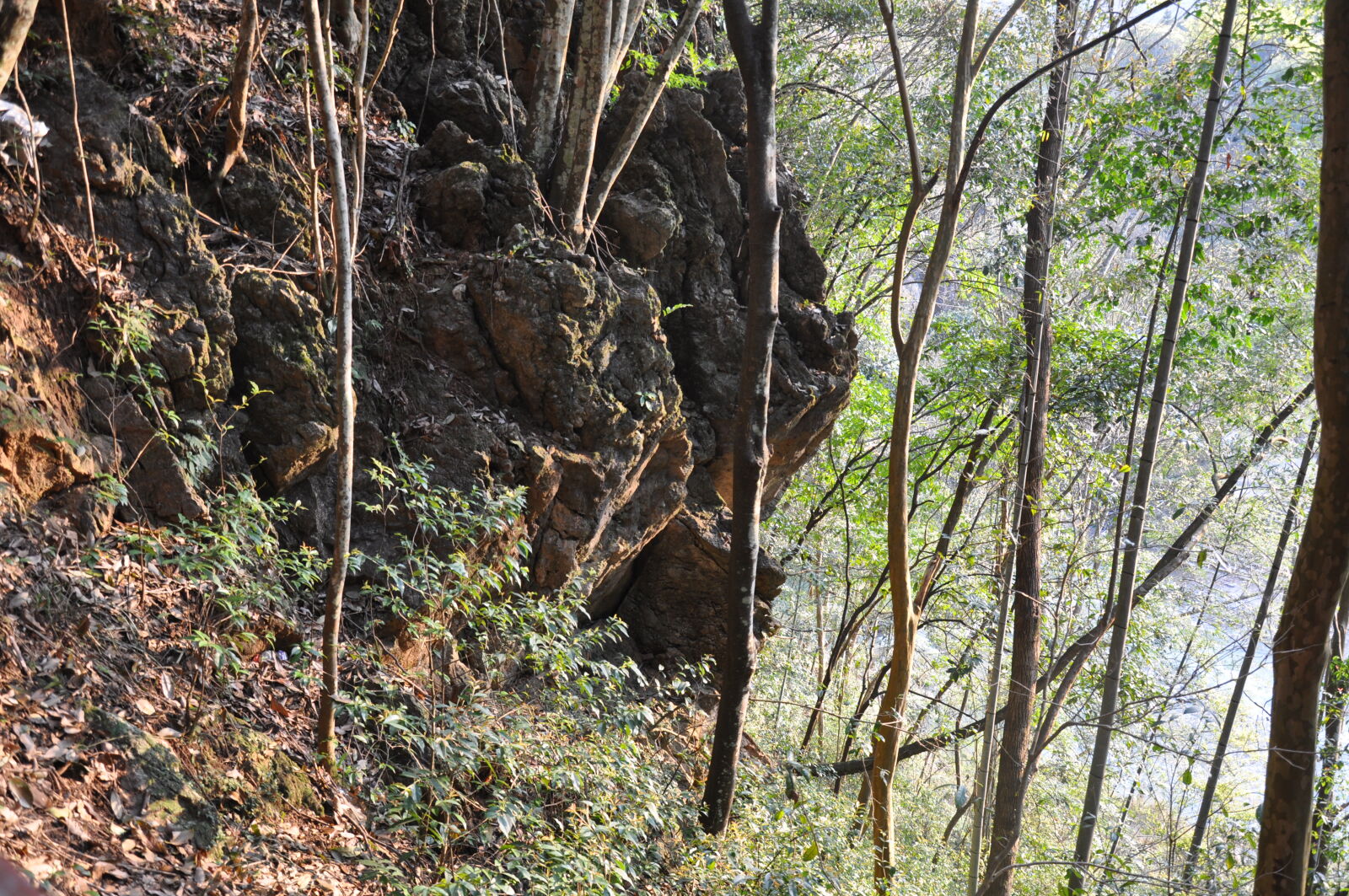 Nikon D90 sample photo