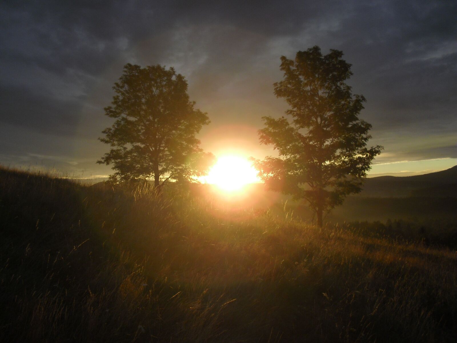 CASIO EX-Z29 sample photo. Nature, sky, landscape photography