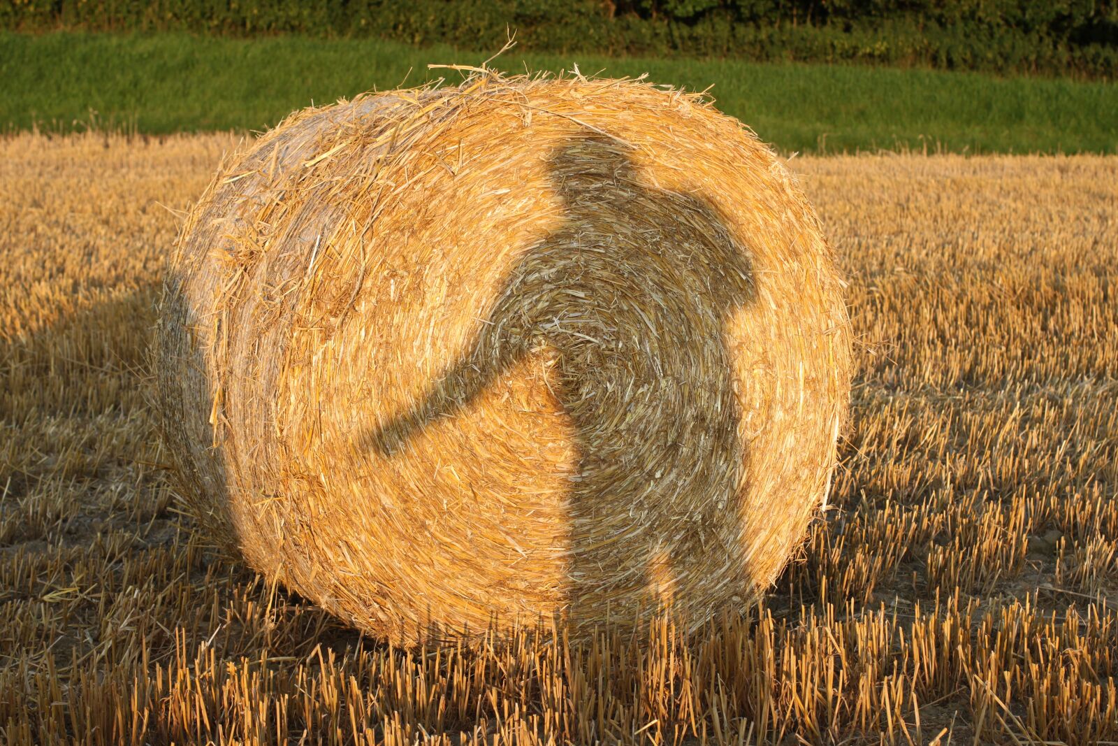 Canon EOS 500D (EOS Rebel T1i / EOS Kiss X3) sample photo. Stohballen, shadow, straw photography