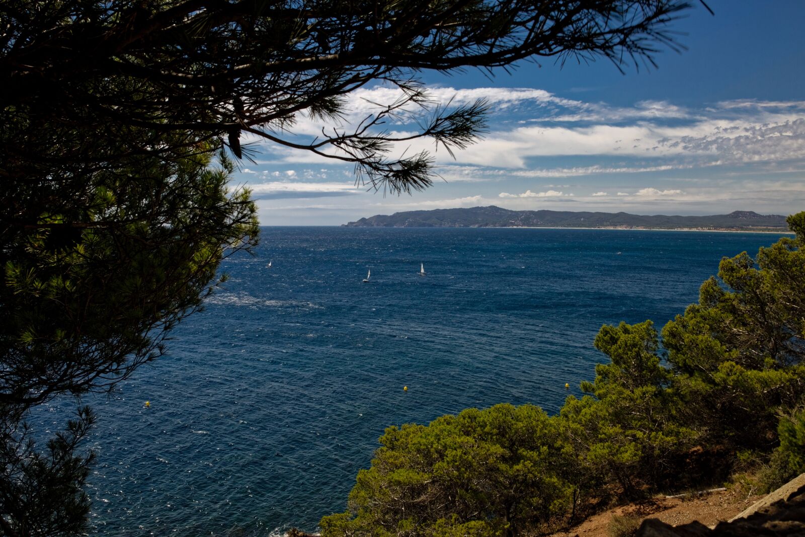 Canon EOS 5D Mark III sample photo. Nature, there, not photography