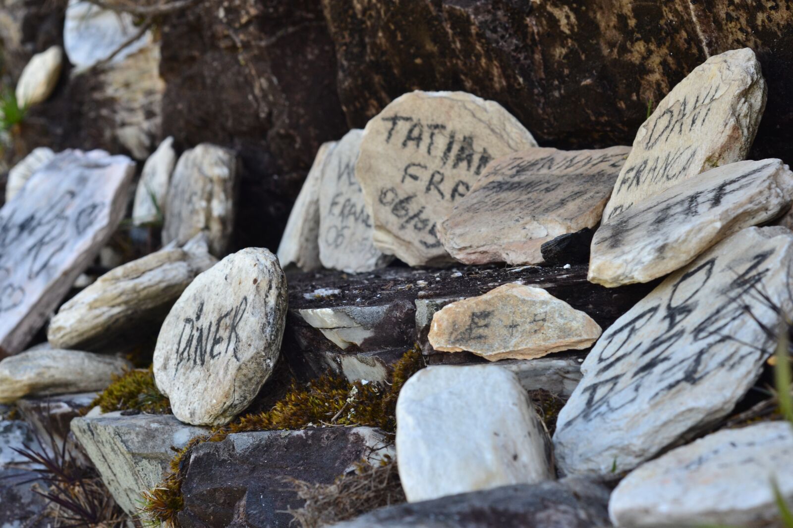 Nikon D3100 sample photo. Stones, rio, lake photography