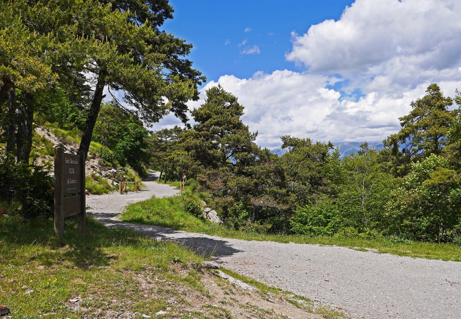 Panasonic Lumix DMC-GH3 sample photo. Trail, high mountains, forest photography