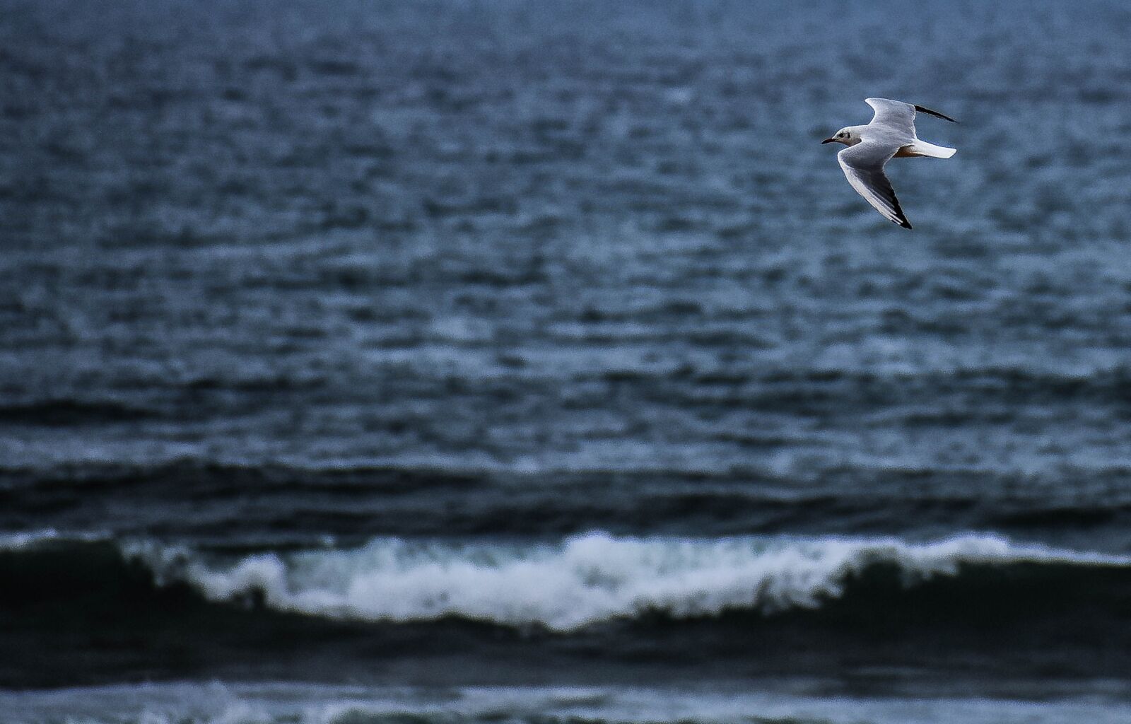 Nikon D3400 sample photo. Sea, water, beach photography