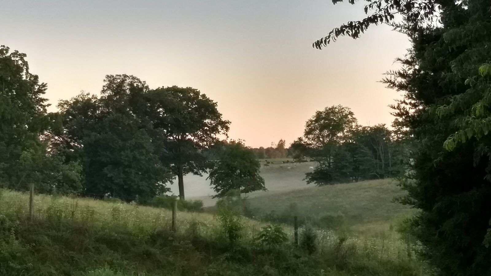Motorola Moto G (5) Plus sample photo. Farm, fog, hills photography