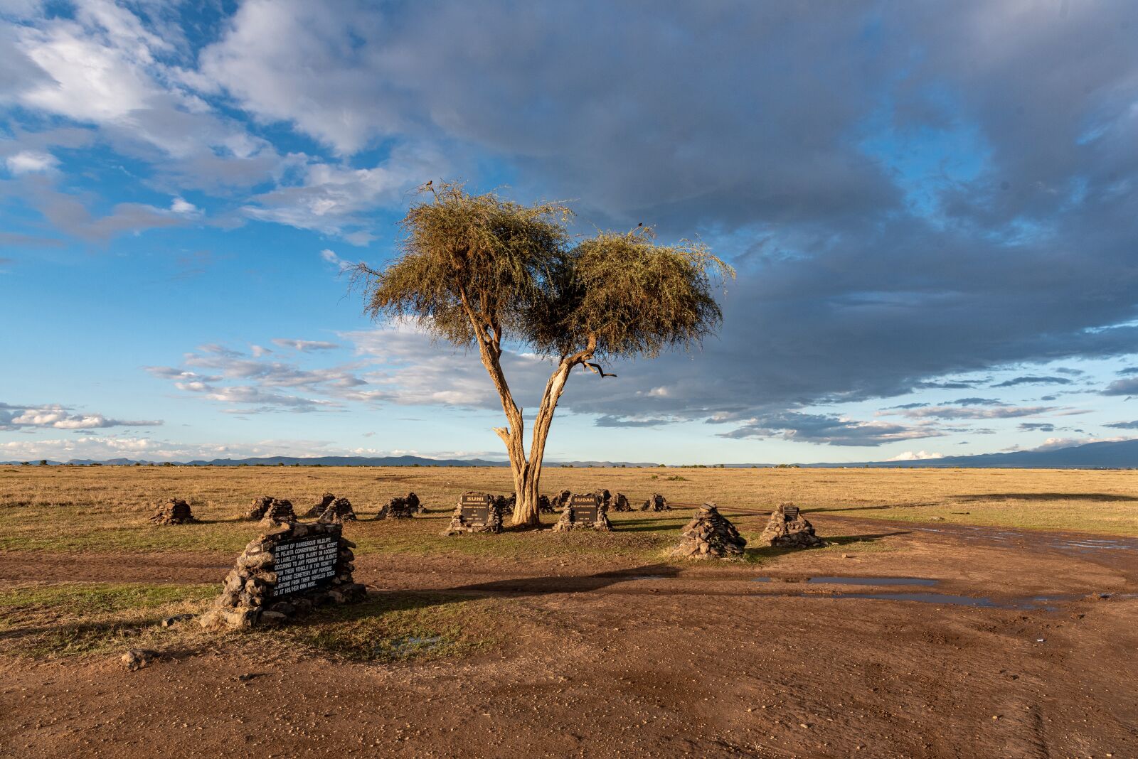 Nikon D750 sample photo. Africa, kenya, safari photography