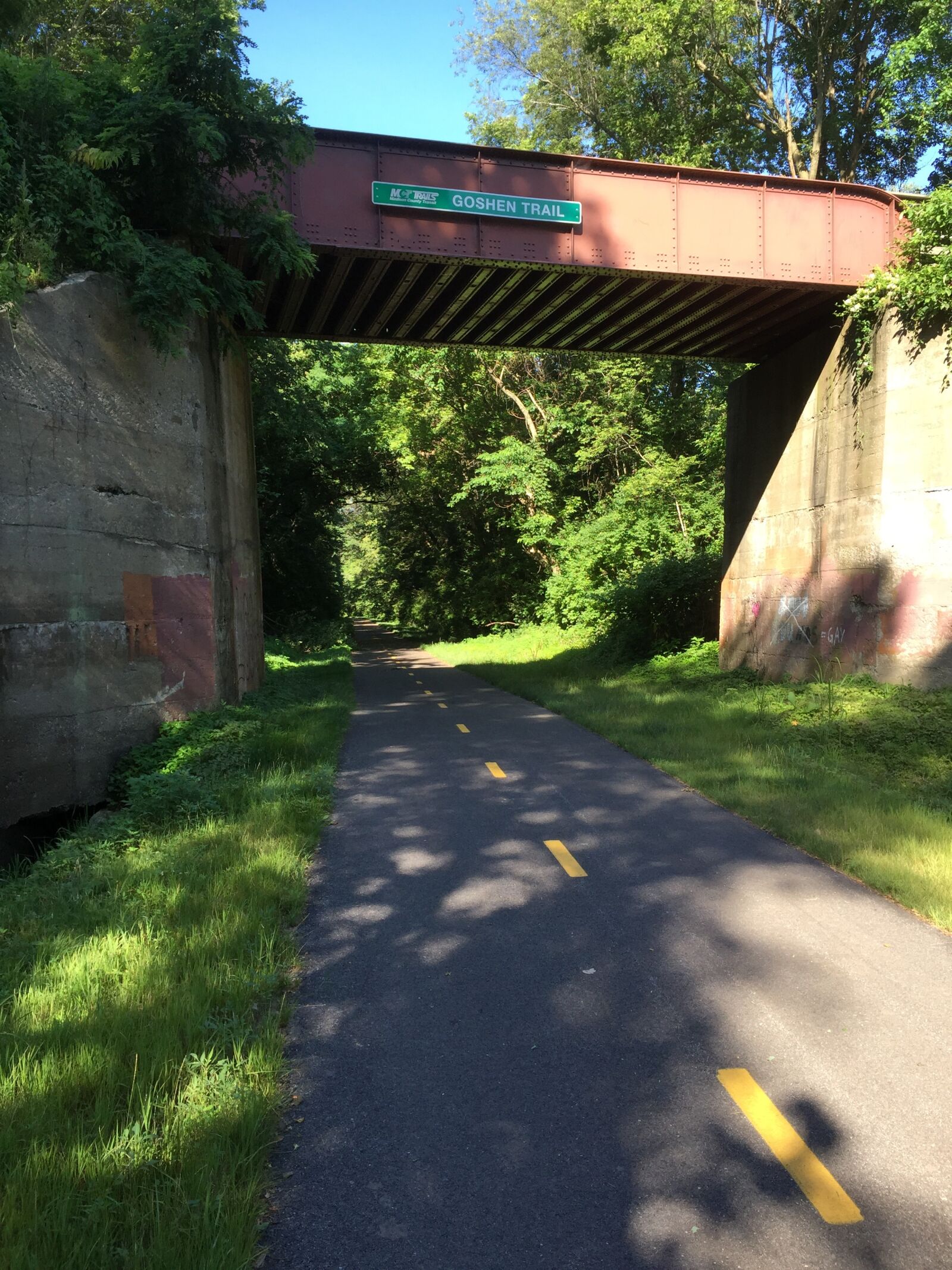 iPhone 6 Plus back camera 4.15mm f/2.2 sample photo. Bridge, path, nature photography