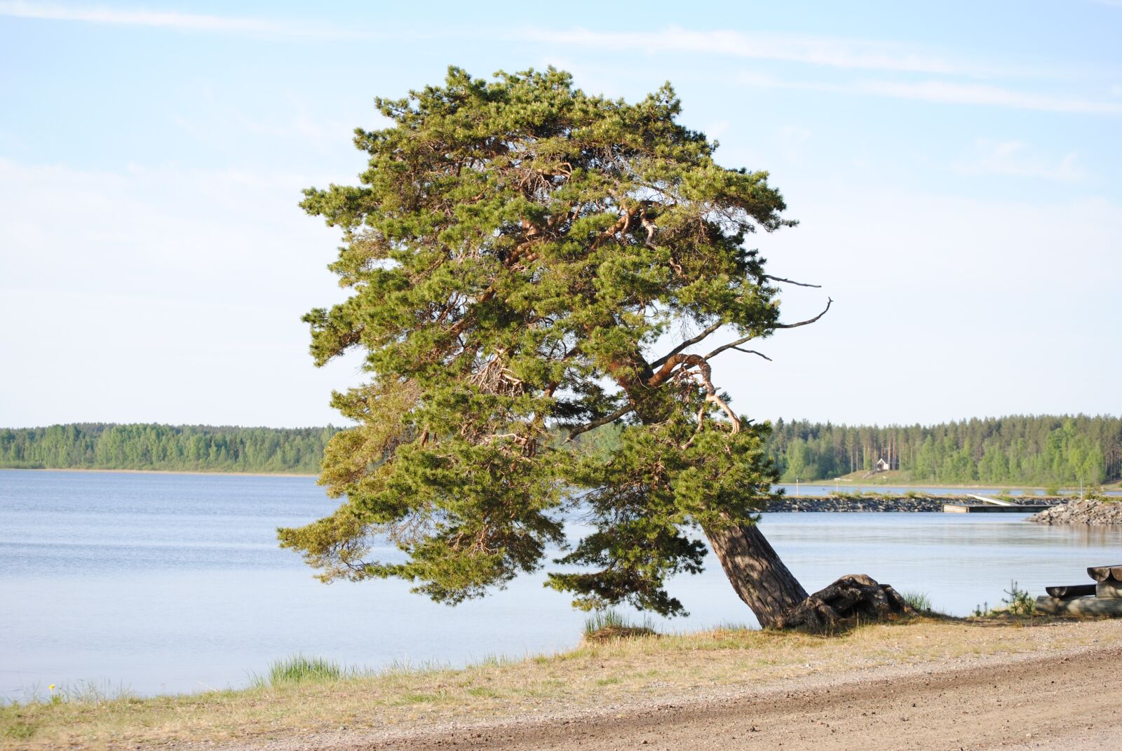 Nikon D3000 sample photo. Manamansalo island port, tree photography