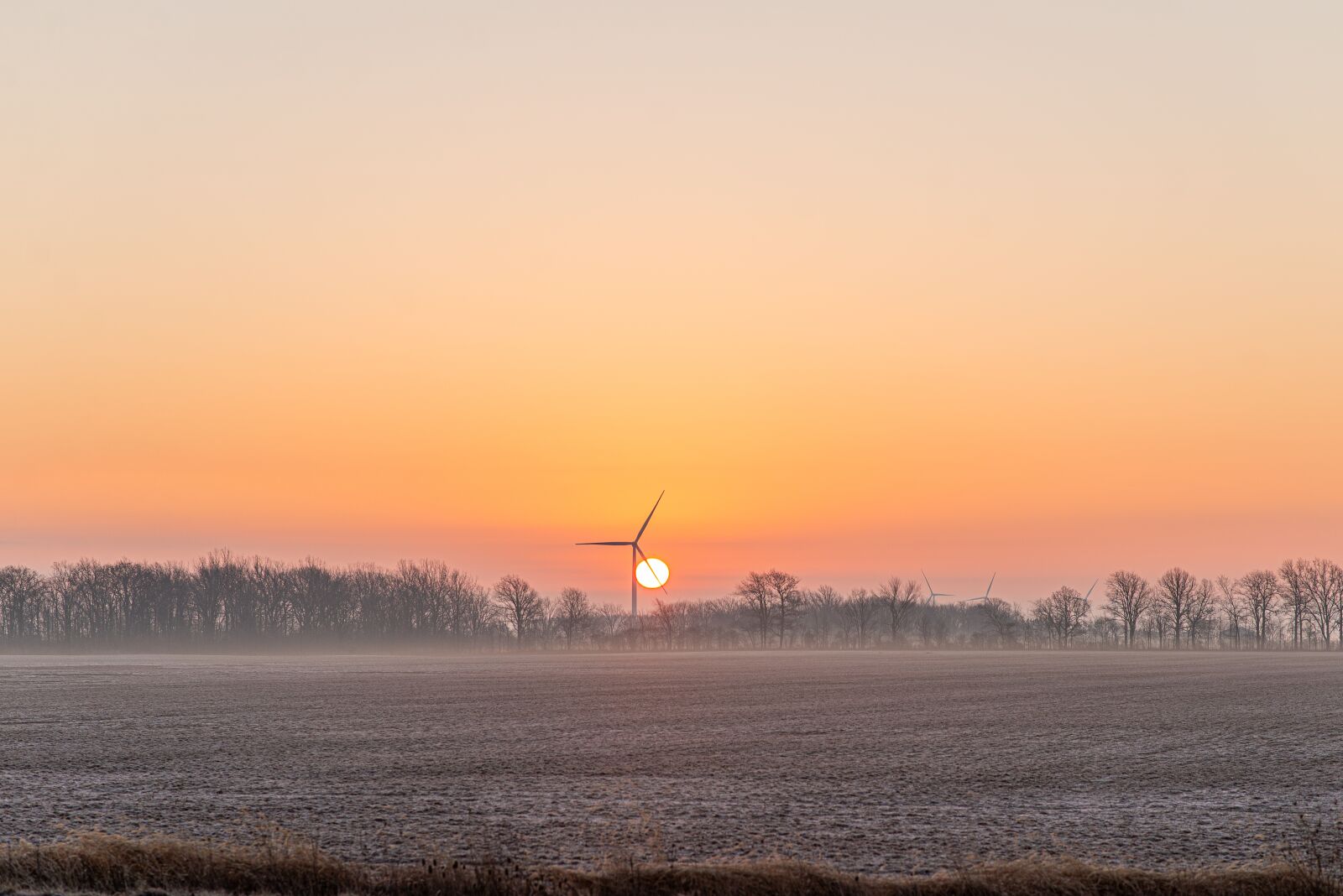 Nikon D600 sample photo. Sunrise, morning, fog photography