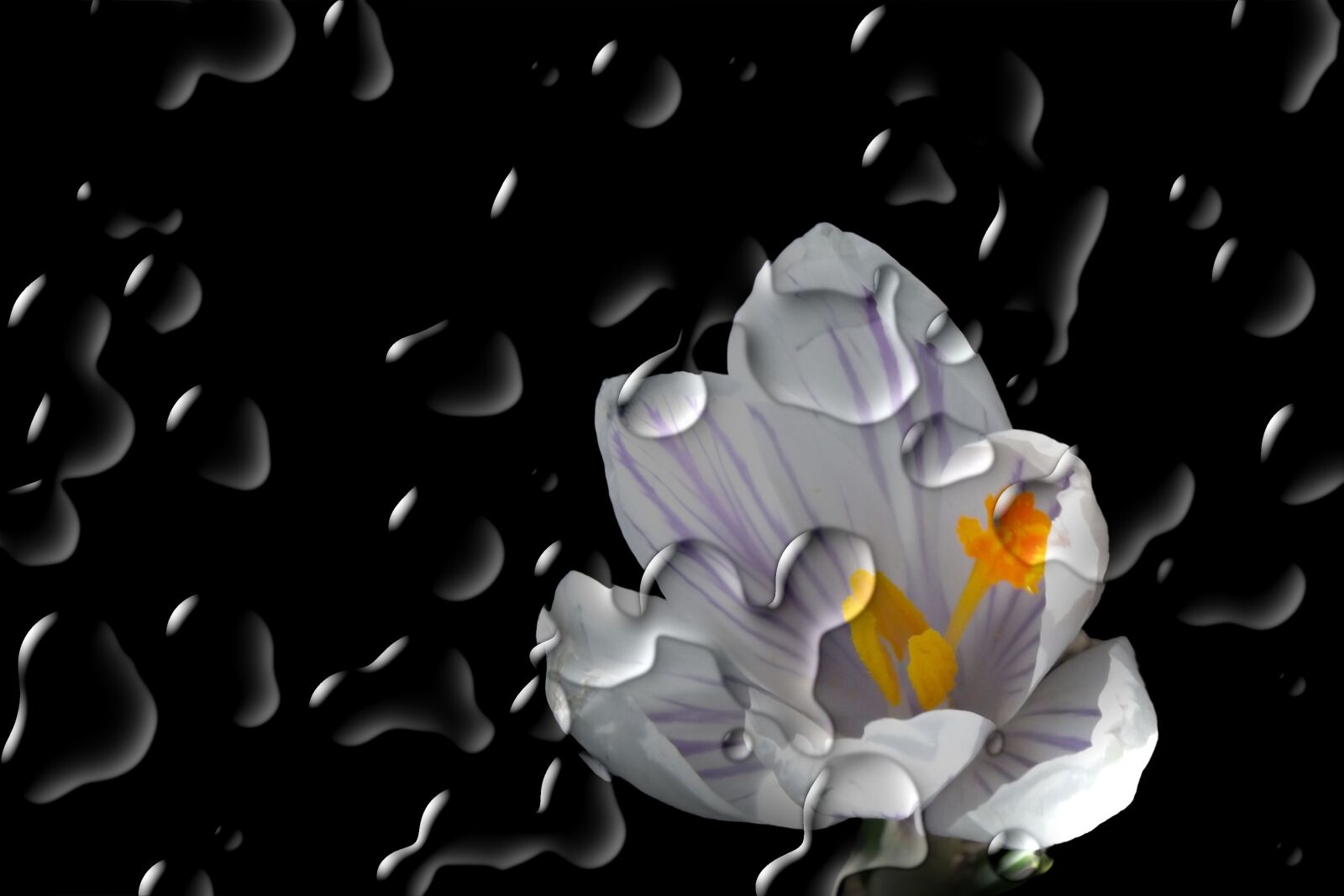Fujifilm FinePix S4300 sample photo. Flower, blossom, bloom photography