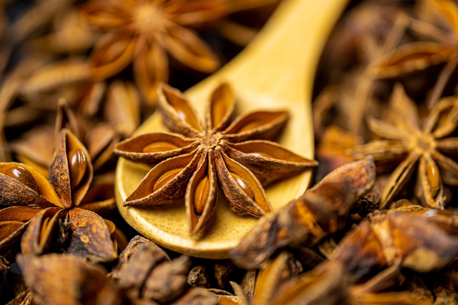 Sony a7 II sample photo. Star anise, anise, spoon photography