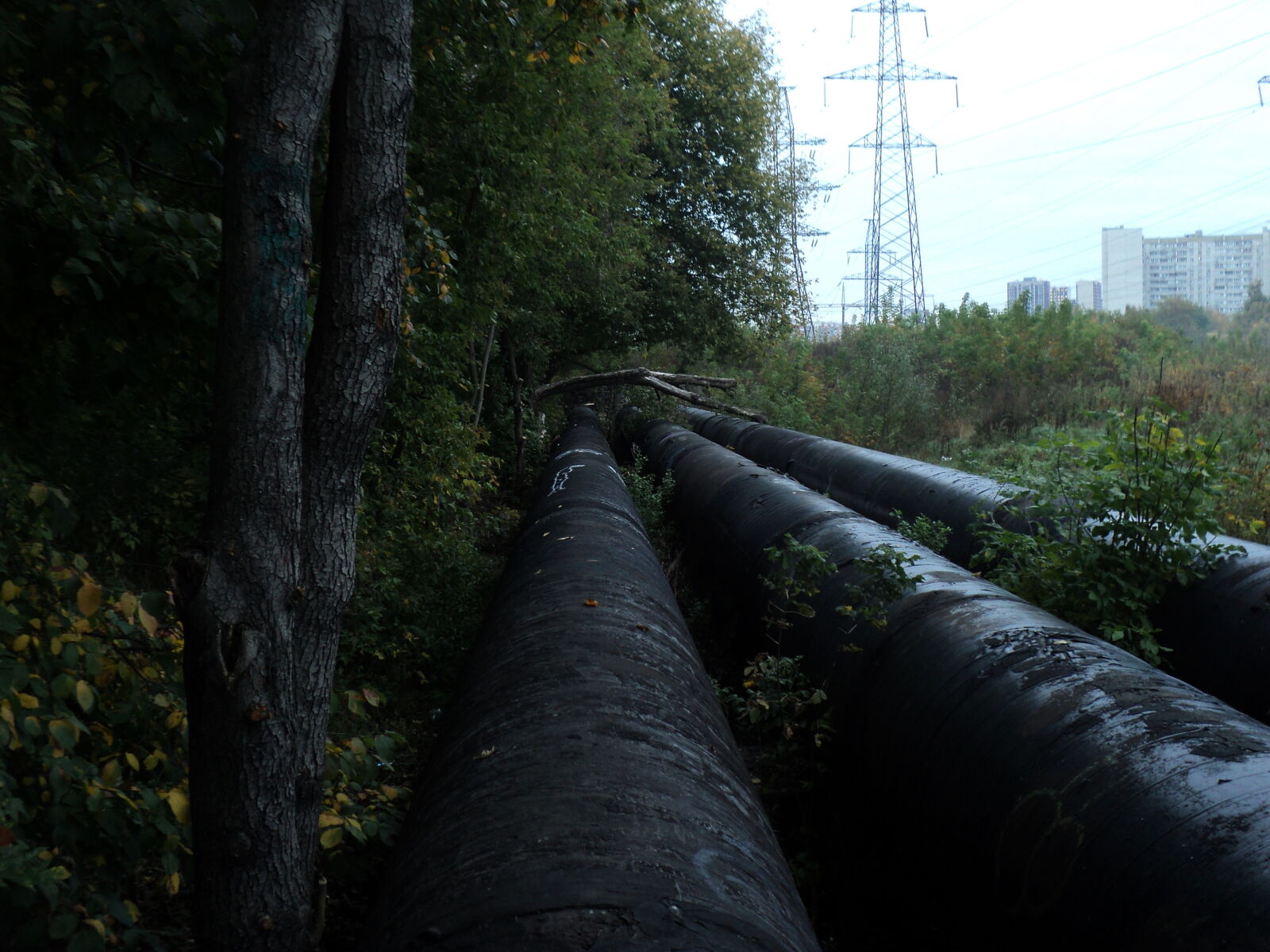 Sony DSC-S2100 sample photo. Pipes (local goth spawnpoint) photography