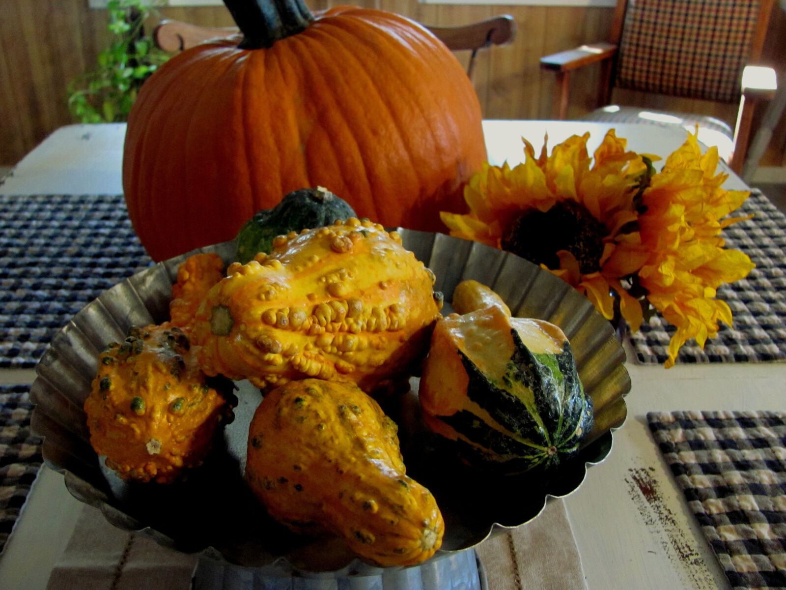 Canon PowerShot SX120 IS sample photo. Autumn, fall arrangement, thanksgiving photography