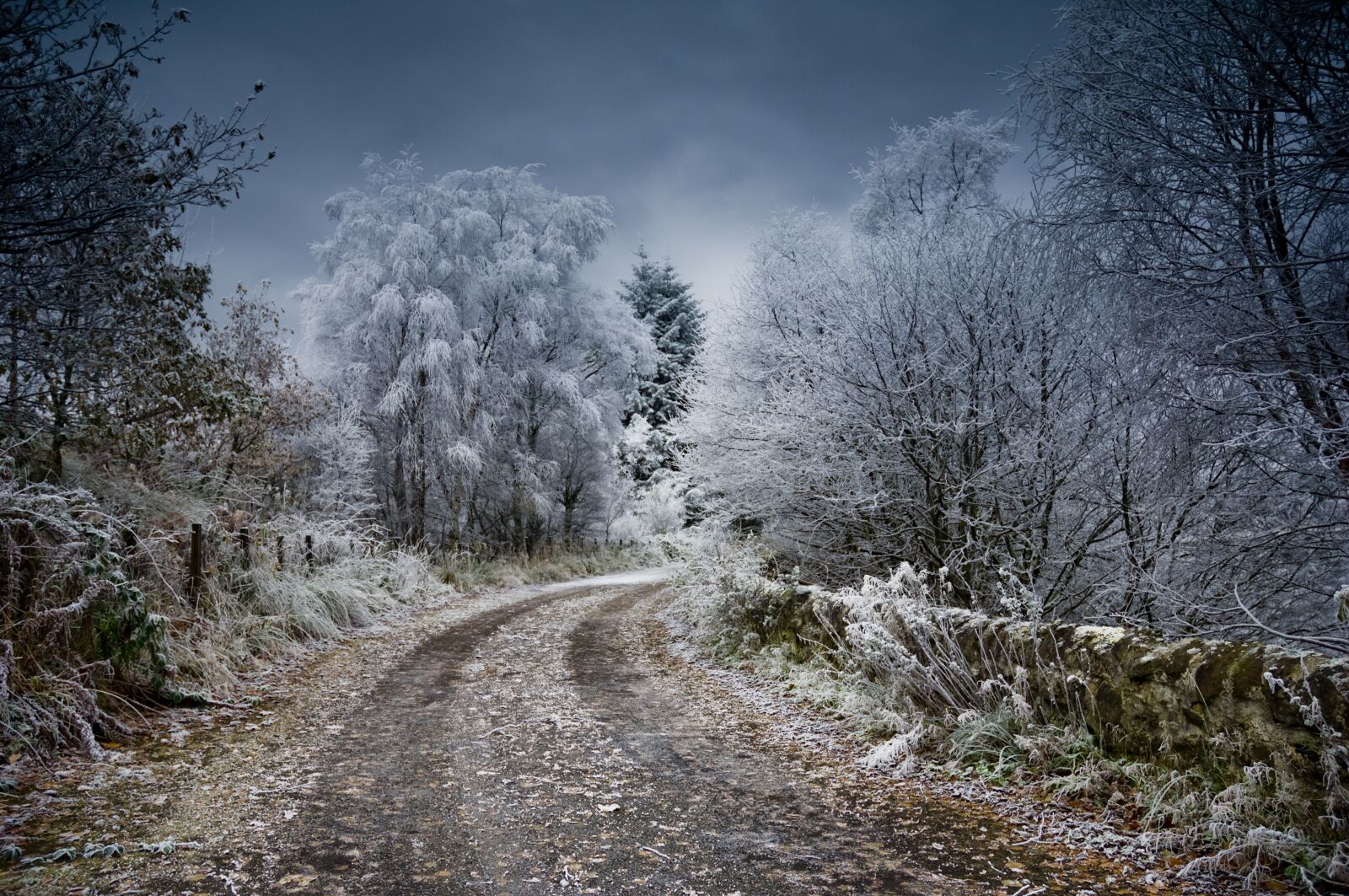 Nikon D2X sample photo. Frost, scotland, winter photography