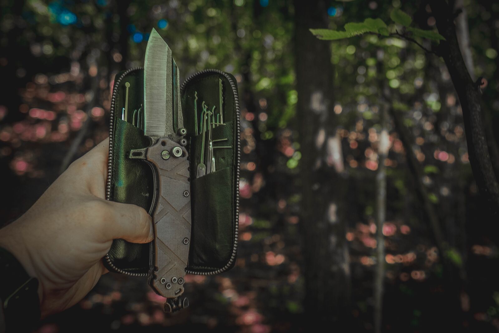 Sony a6400 + Sigma 16mm F1.4 DC DN | C sample photo. Nature, knife, hot photography