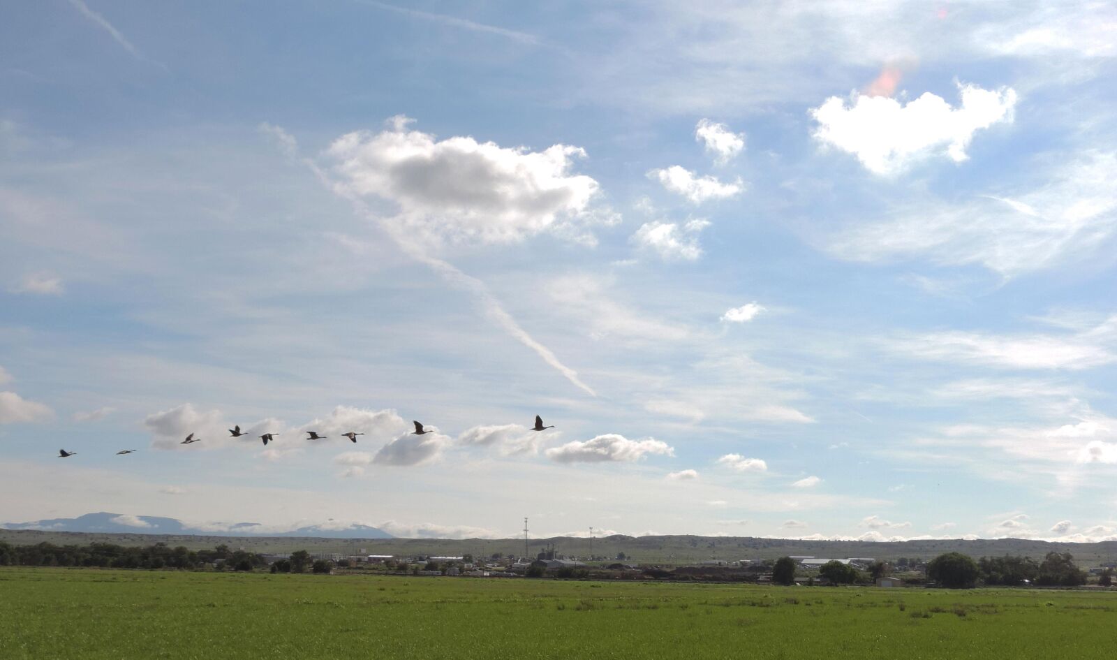 Nikon Coolpix P520 sample photo. Canada geese, fly, agricultural photography