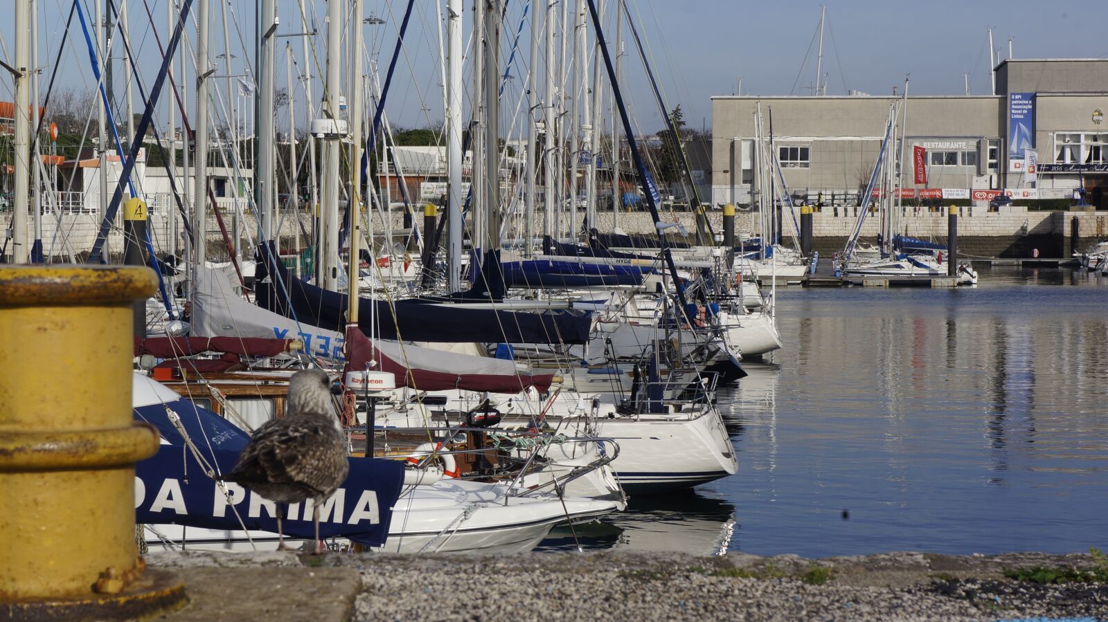Sony Alpha NEX-5N sample photo. Marina, yacht, harbor photography
