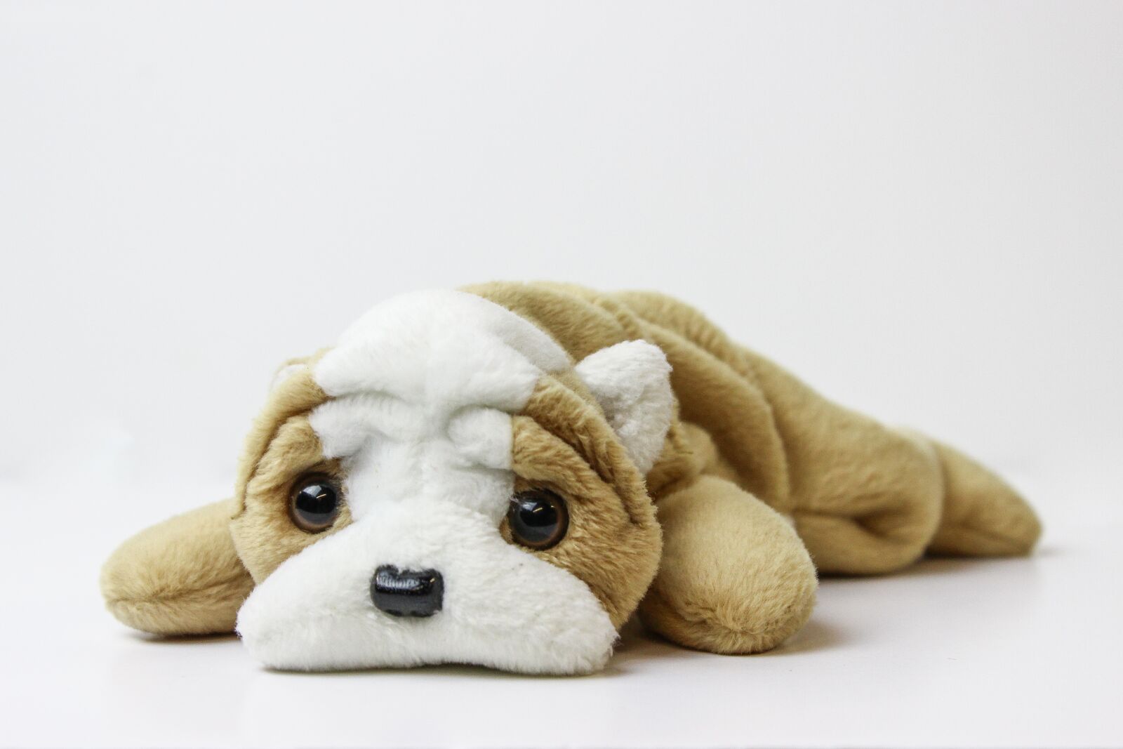 Canon EOS 600D (Rebel EOS T3i / EOS Kiss X5) sample photo. Beanie baby, plush, toy photography