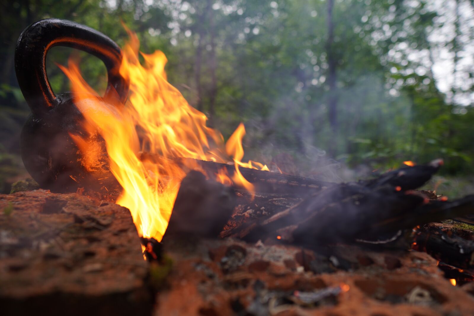 Sony a6400 + Sigma 16mm F1.4 DC DN | C sample photo. Carnivore, kettlebell, trening photography