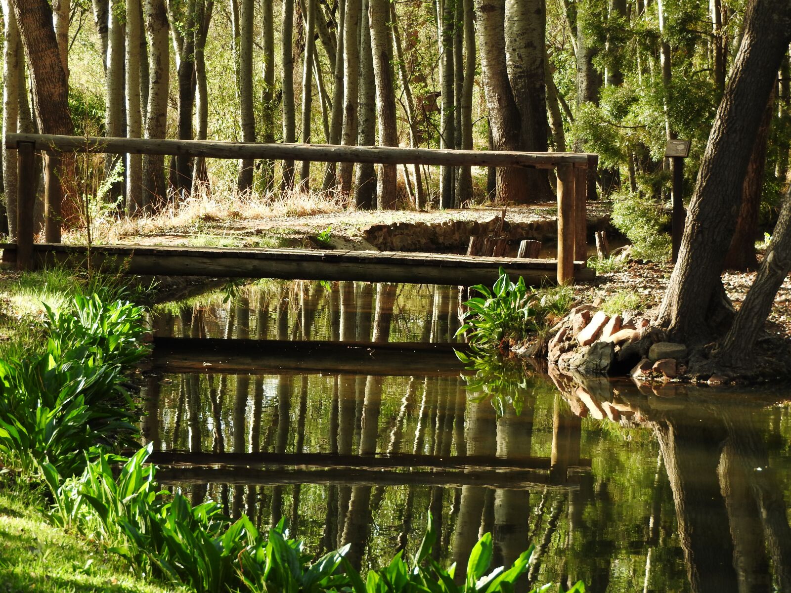 Nikon Coolpix P610 sample photo. Bridge, stream, nature photography