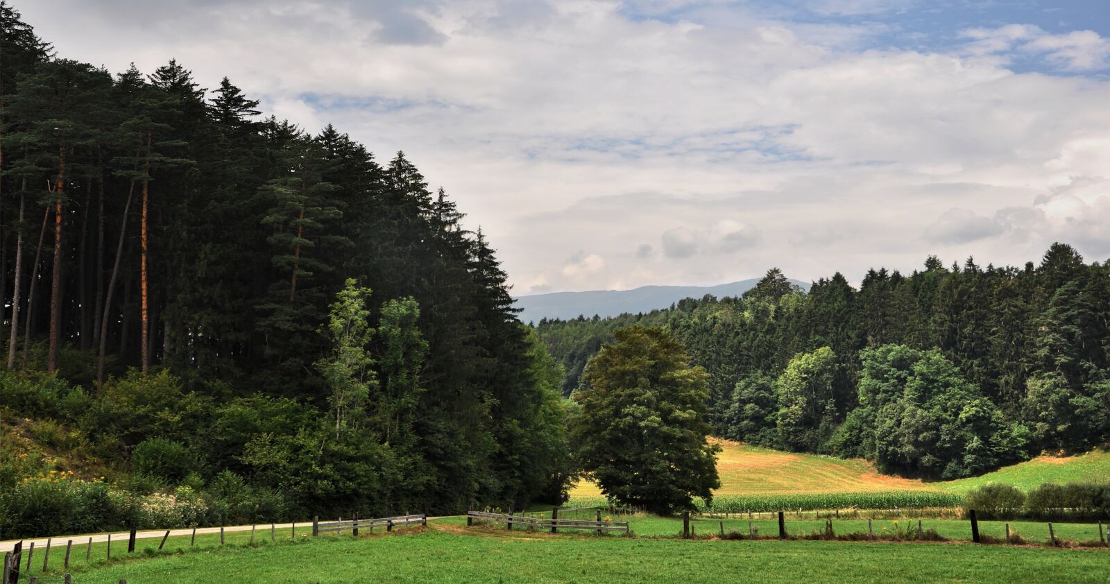 Nikon D90 sample photo. View, landscape, mountains photography