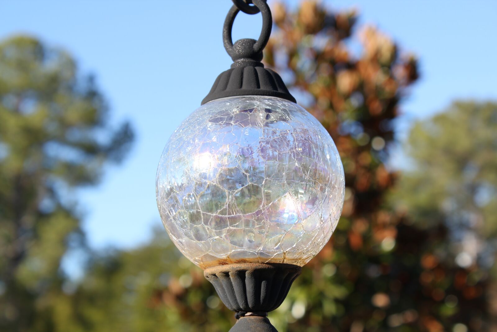 Canon EOS 550D (EOS Rebel T2i / EOS Kiss X4) sample photo. Ball, sky, sphere photography