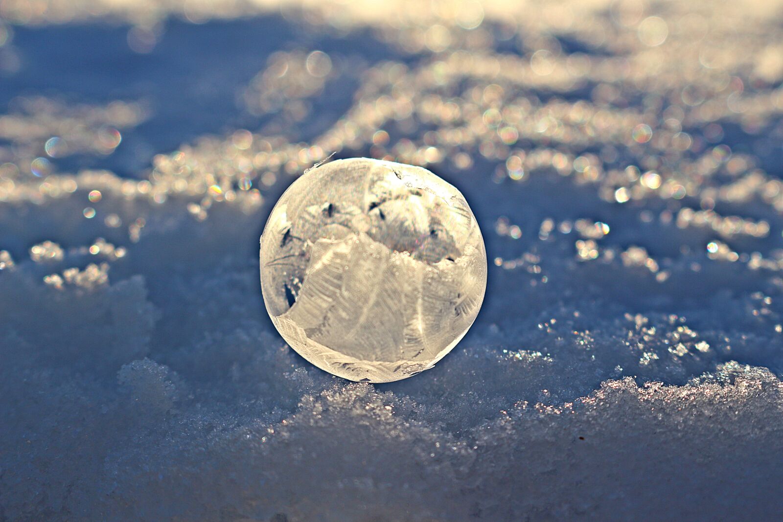 Canon EOS 100D (EOS Rebel SL1 / EOS Kiss X7) sample photo. Soap bubble, crystal bubble photography