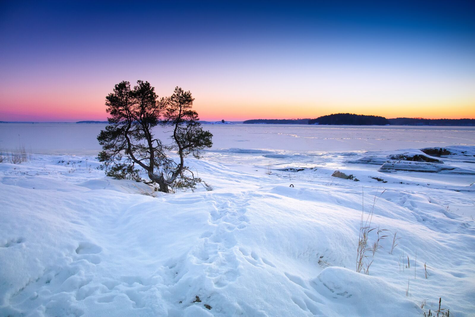 Canon EOS 7D sample photo. Winter, sea, frozen photography