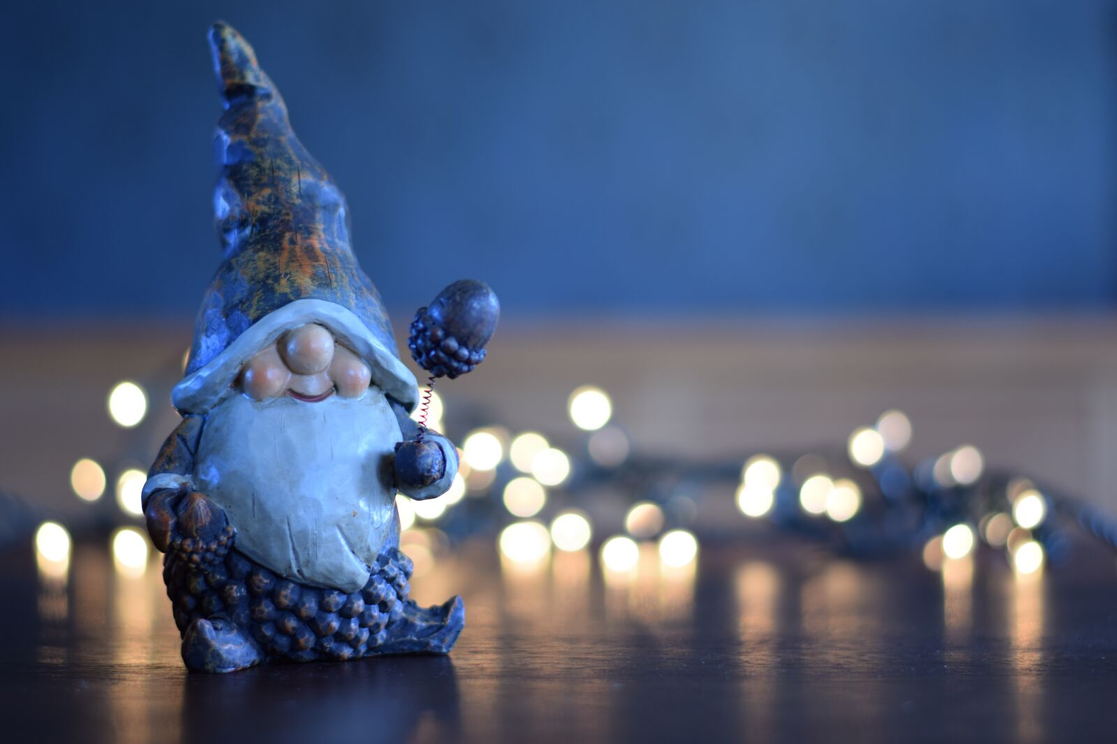 Nikon D5300 sample photo. Gnome, christmas, lights photography