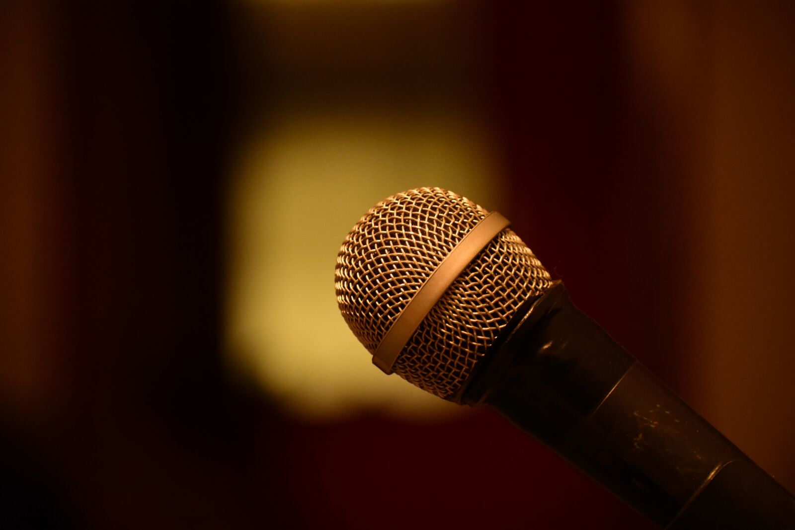 Nikon D3400 sample photo. Microphone, karaoke, voice photography