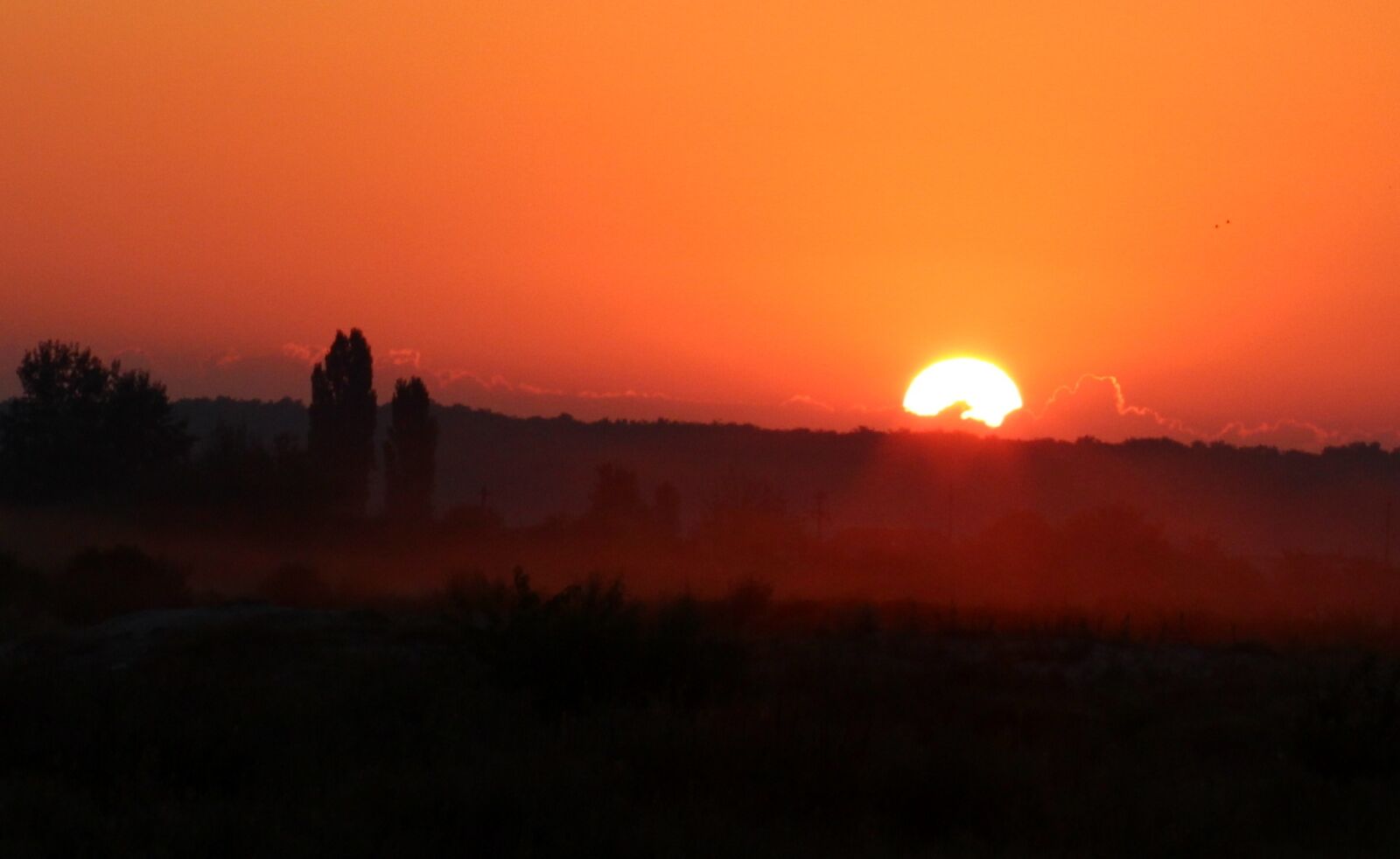 Canon EOS 700D (EOS Rebel T5i / EOS Kiss X7i) + Canon EF 85mm F1.8 USM sample photo. Sunrise, morning, the haze photography