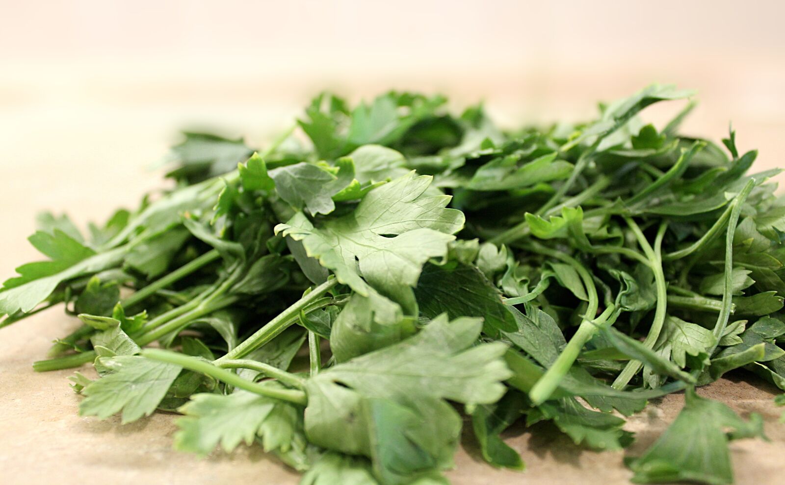 Canon EOS 1100D (EOS Rebel T3 / EOS Kiss X50) sample photo. Parsley, parsley curly, the photography