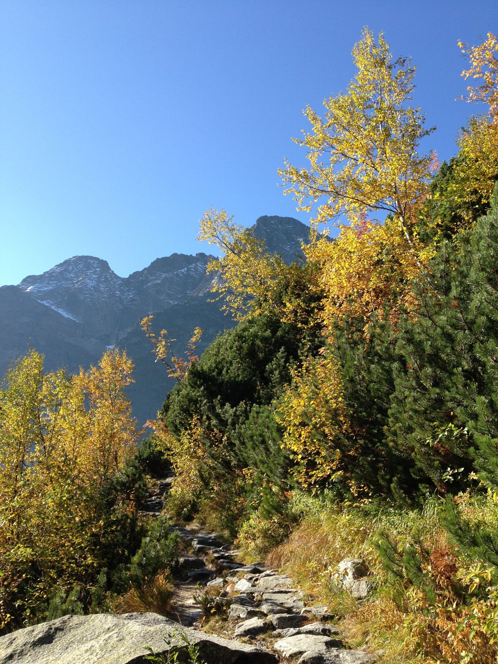 iPhone 5c back camera 4.12mm f/2.4 sample photo. Tatry, mountains, autumn photography