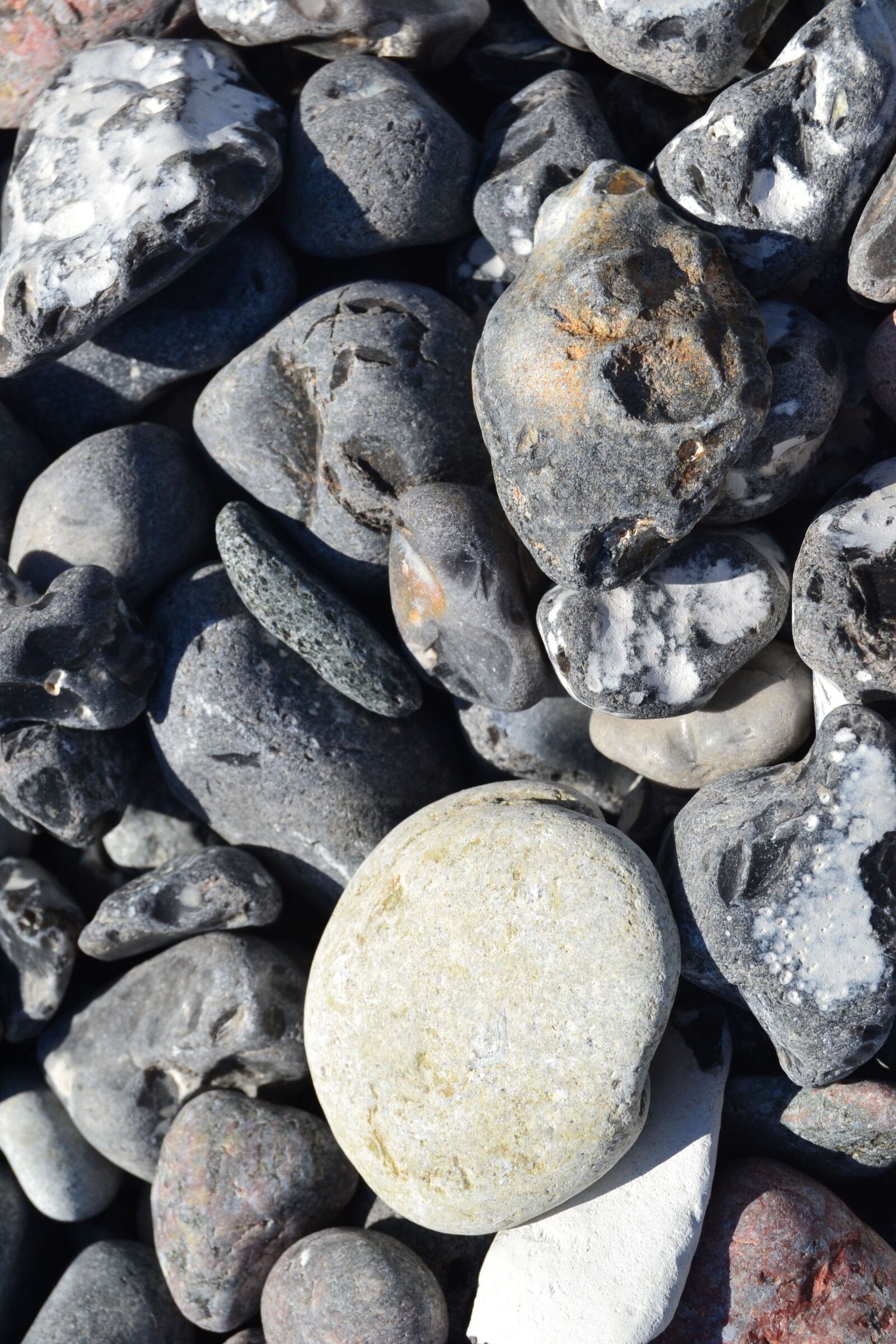 Nikon D3100 sample photo. Stones, coast, beach photography