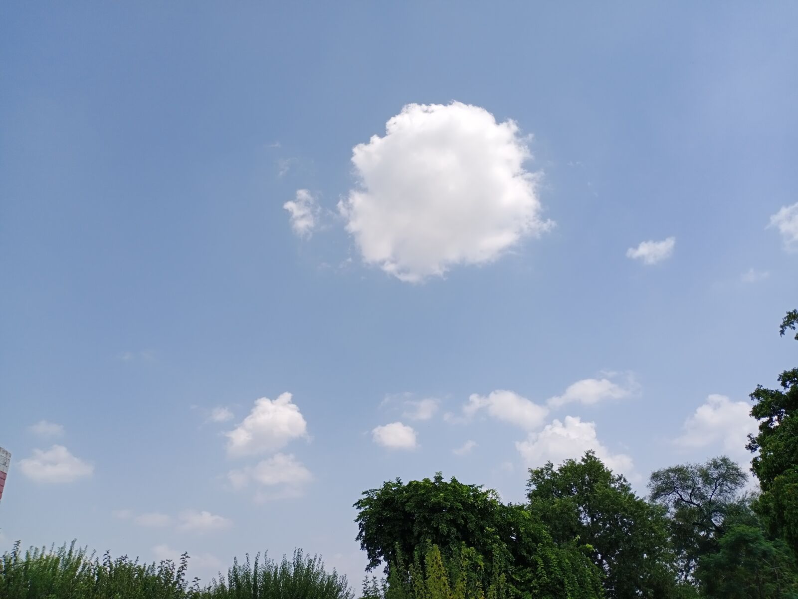 vivo 1907_19 sample photo. Nature, tree, sky photography