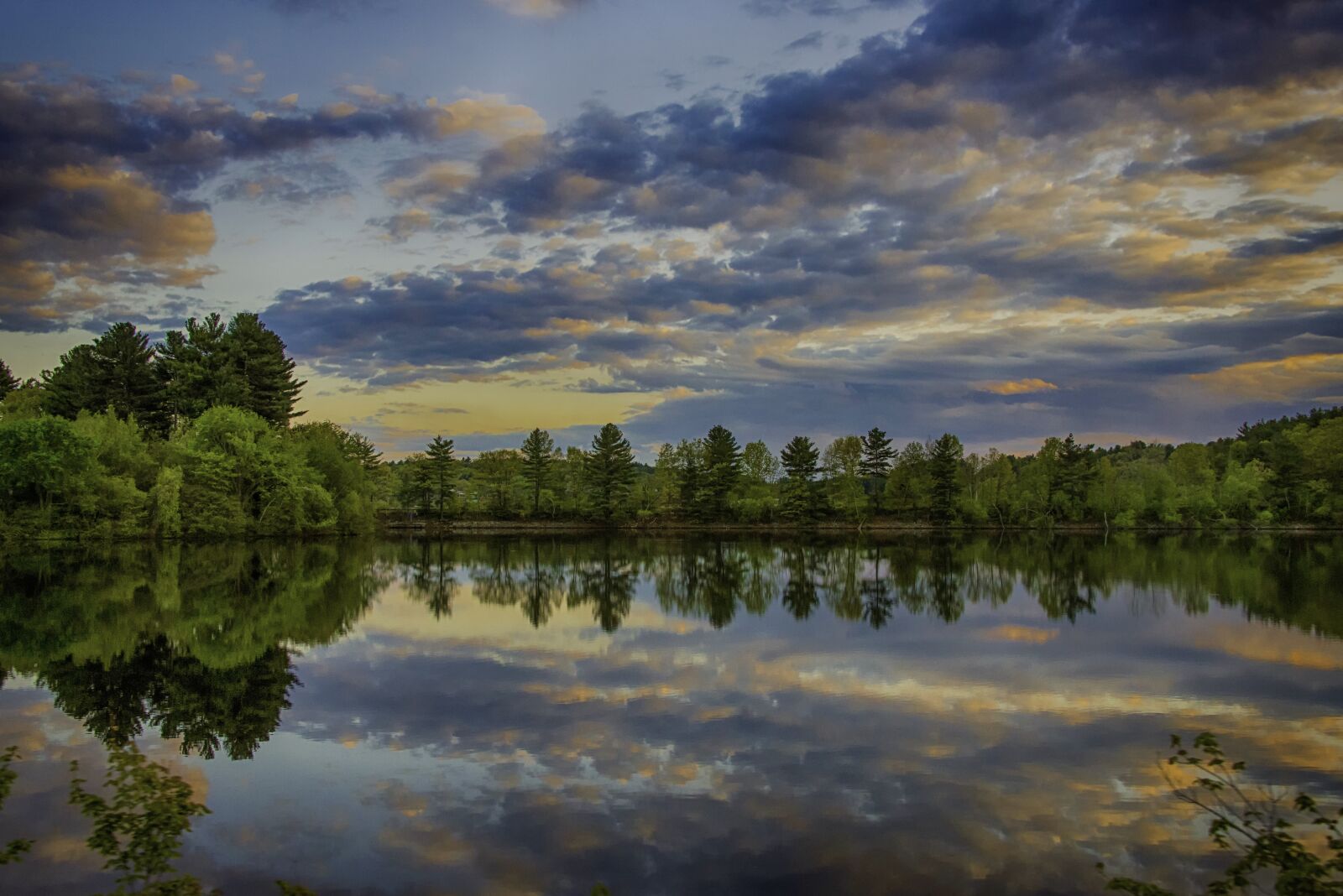 Nikon D800 sample photo. Nature, lake, reflections photography