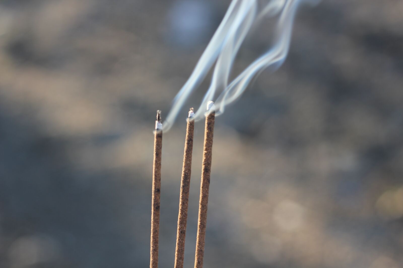 Canon EOS 550D (EOS Rebel T2i / EOS Kiss X4) sample photo. Smoke, bar, wind photography