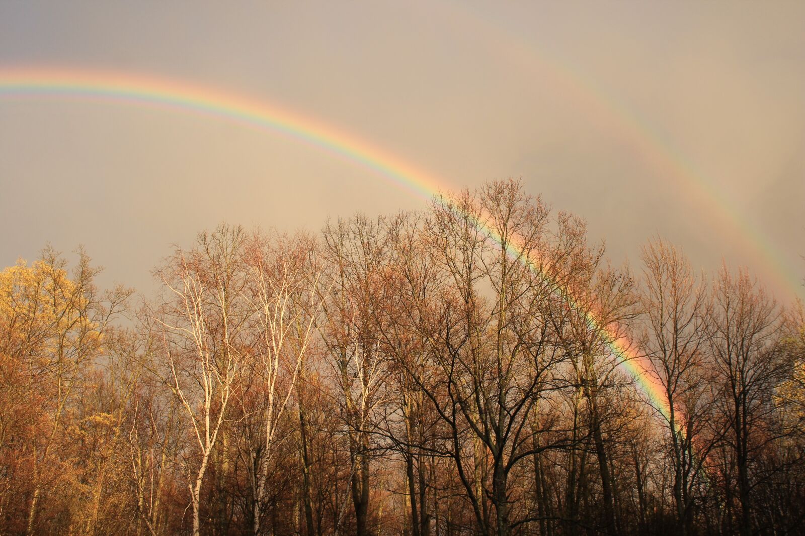 Canon EOS 1100D (EOS Rebel T3 / EOS Kiss X50) sample photo. Fall, rainbow, nature photography