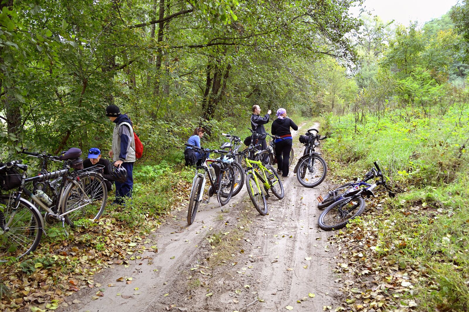 Nikon D3100 sample photo. Road, bike, cyclist photography