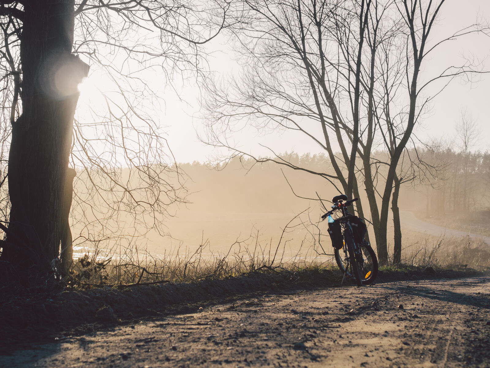 Olympus OM-D E-M5 sample photo. Bicycle, bike, dust, fog photography