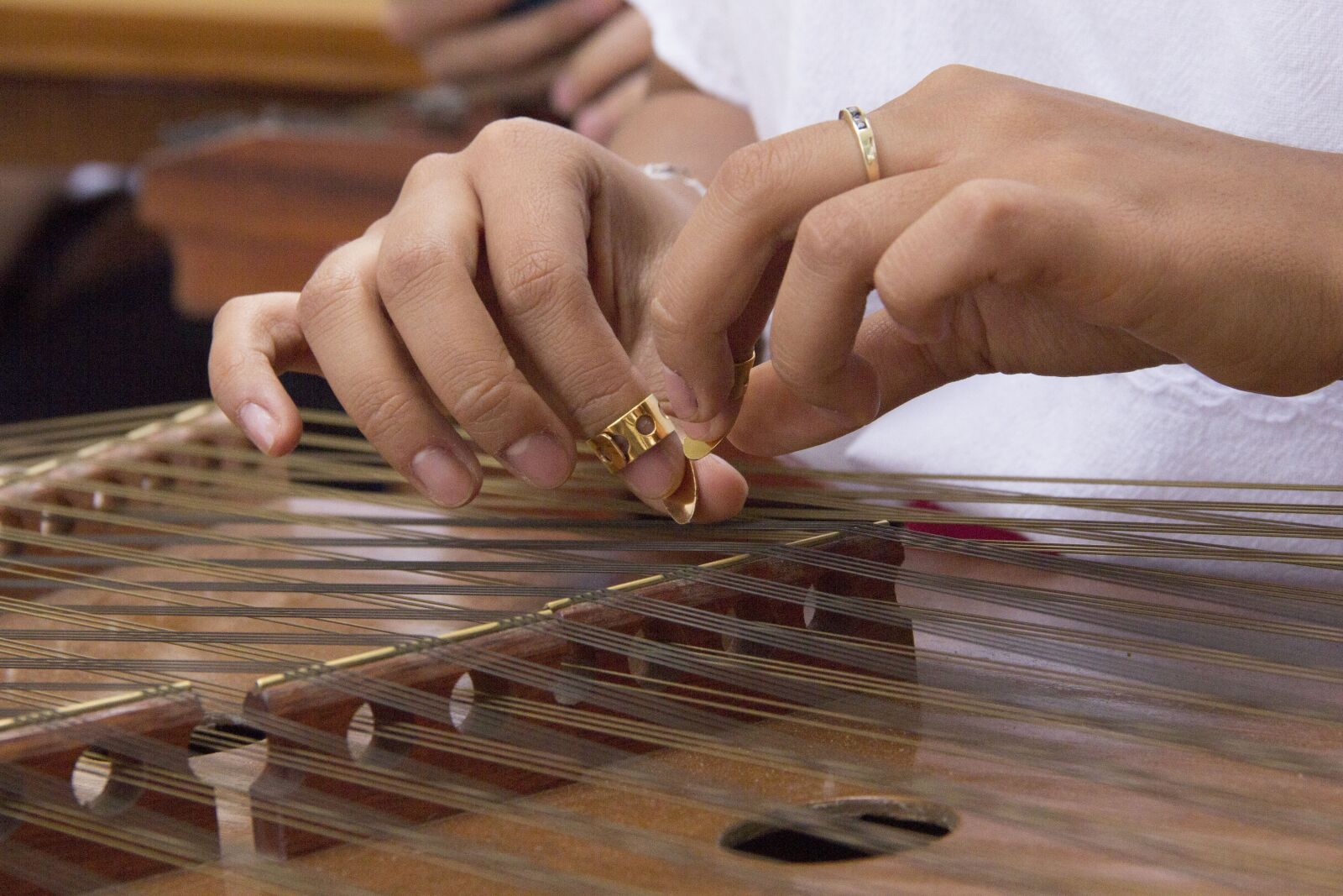 Canon EOS 60D sample photo. Psalter, instrument, music photography