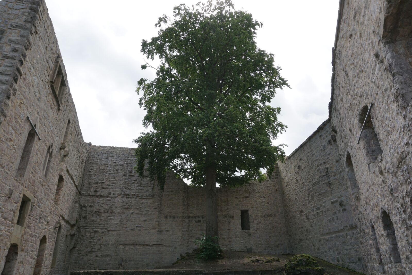 Sony a6000 sample photo. Old, castle, ruin photography