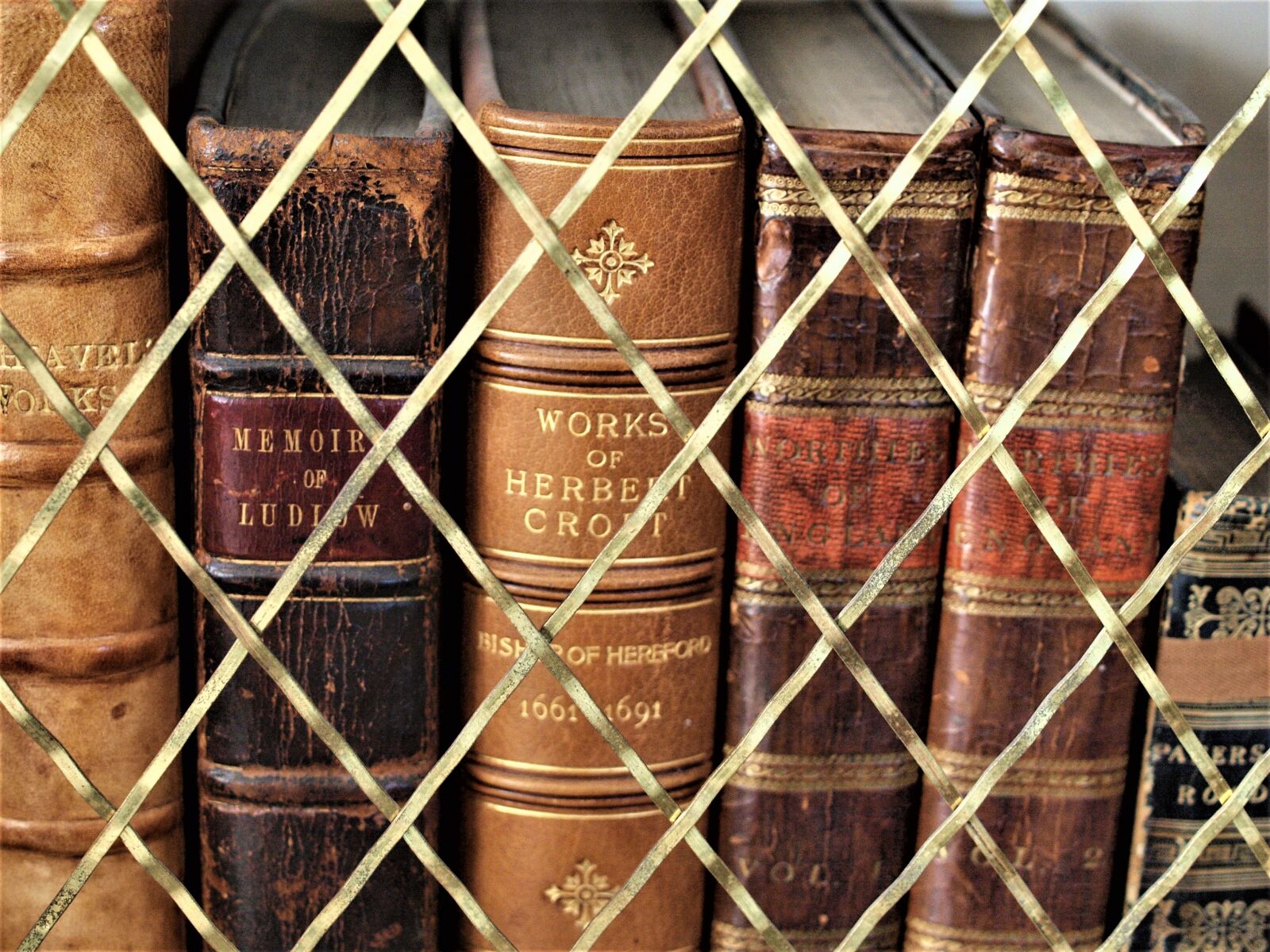 Olympus E-520 (EVOLT E-520) sample photo. Still life, old, books photography