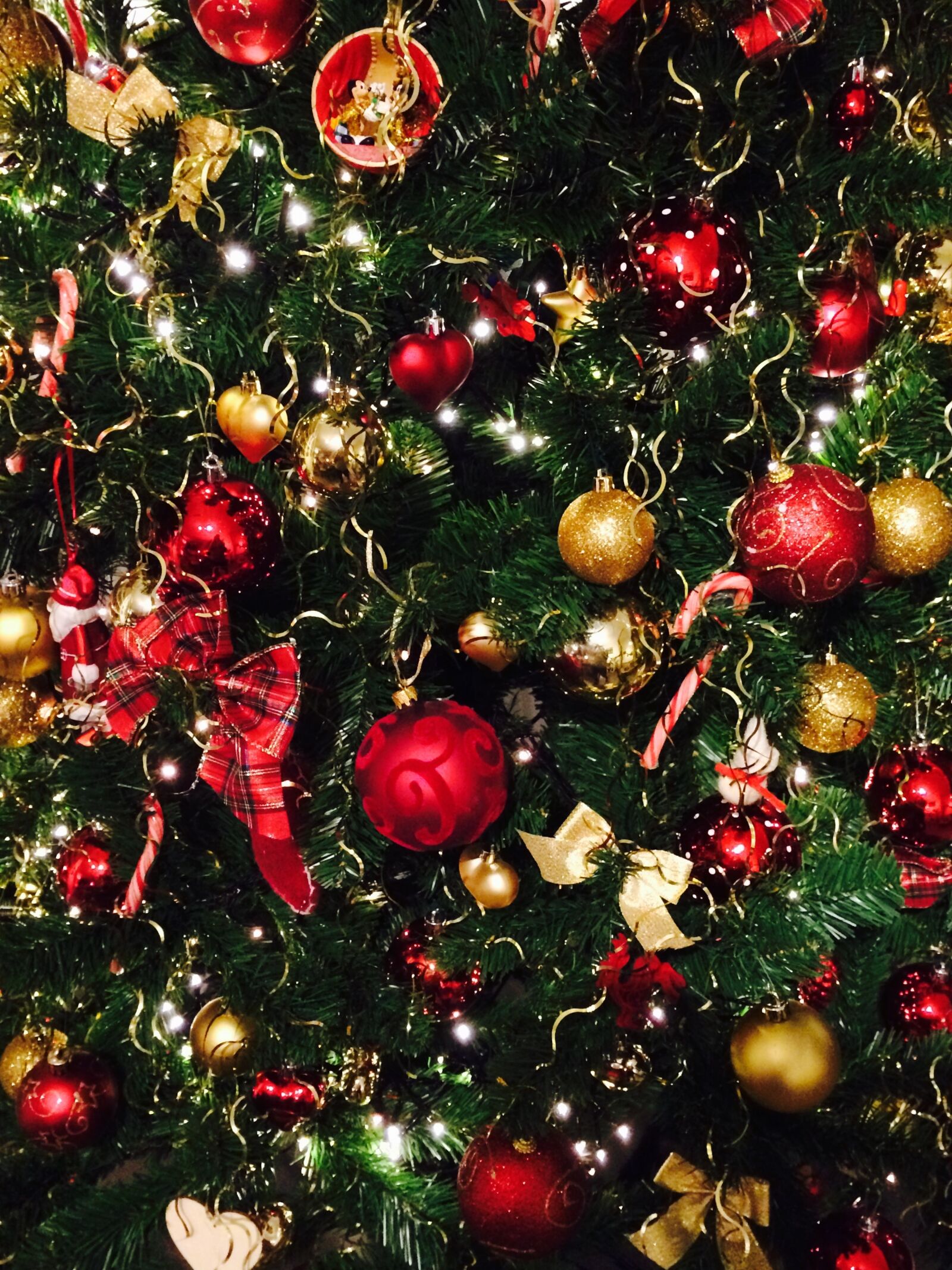 Apple iPhone 5s sample photo. Christmas, fir, christmas tree photography