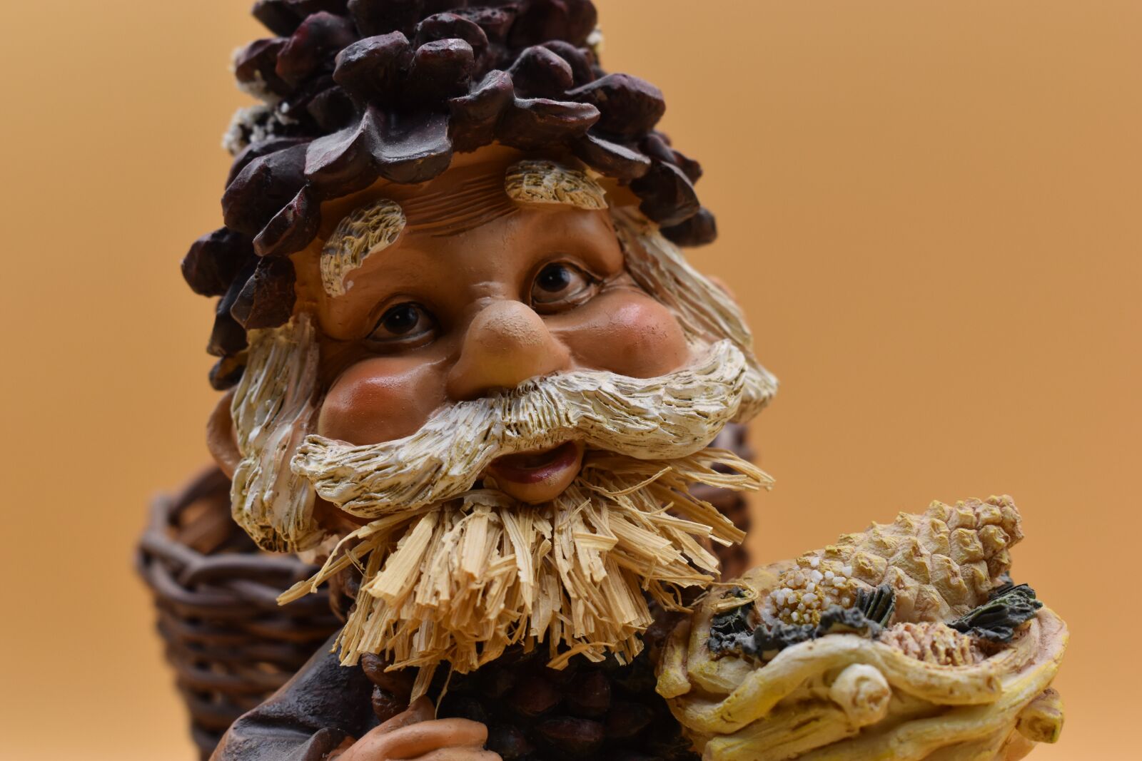 Nikon D5600 sample photo. Christmas, elf, pannier photography