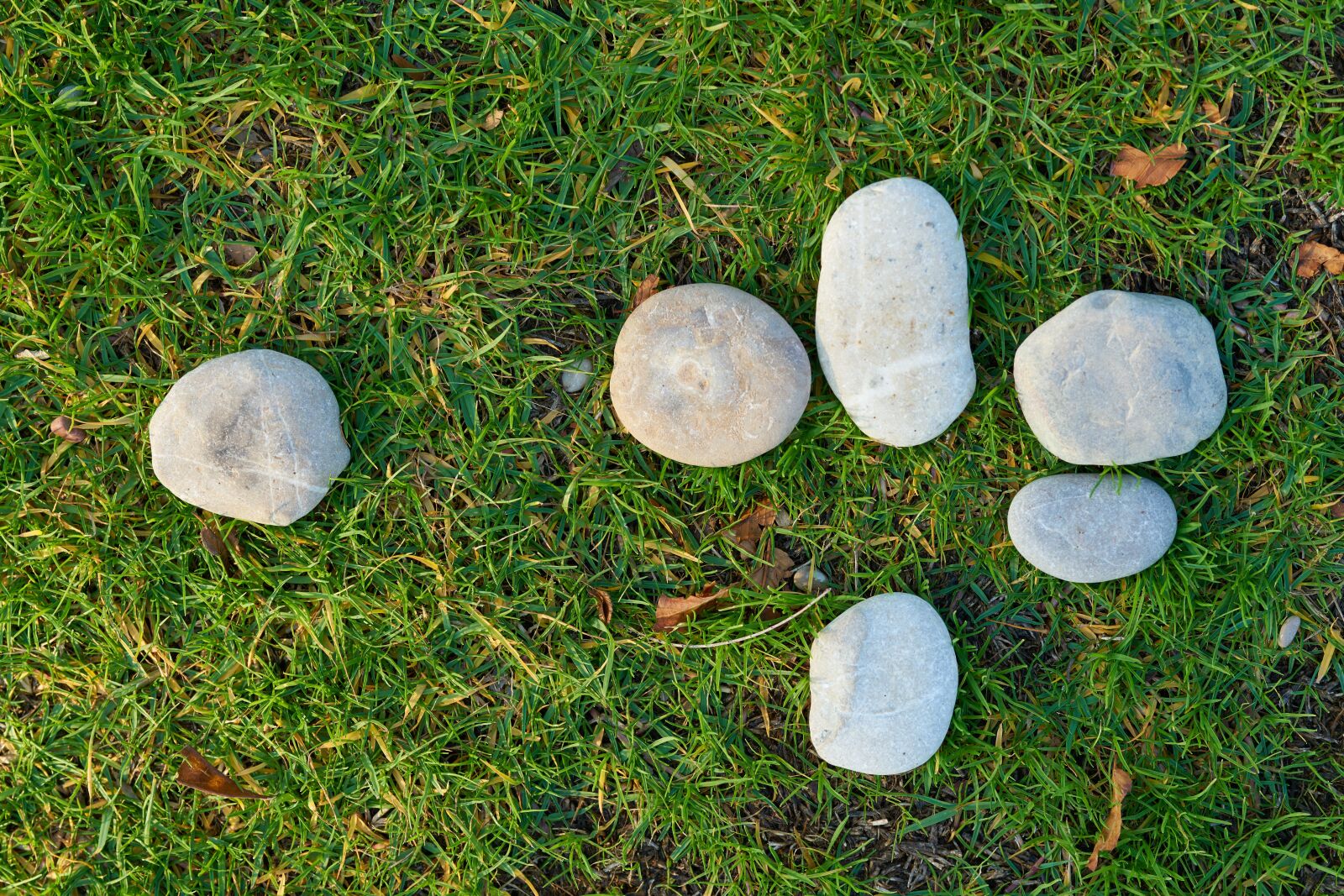 Sigma 85mm F1.4 DG HSM Art sample photo. Grass, stone, kennedy photography