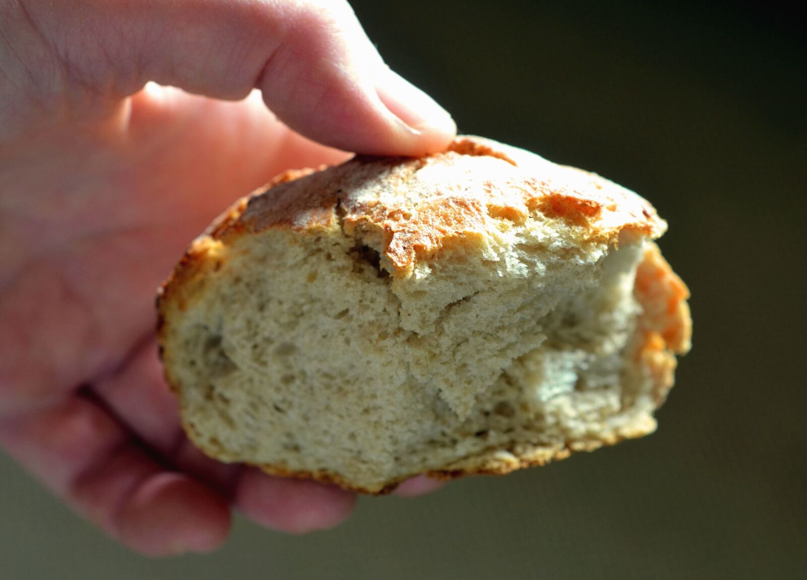 Nikon D5100 sample photo. Bread, hand, food photography