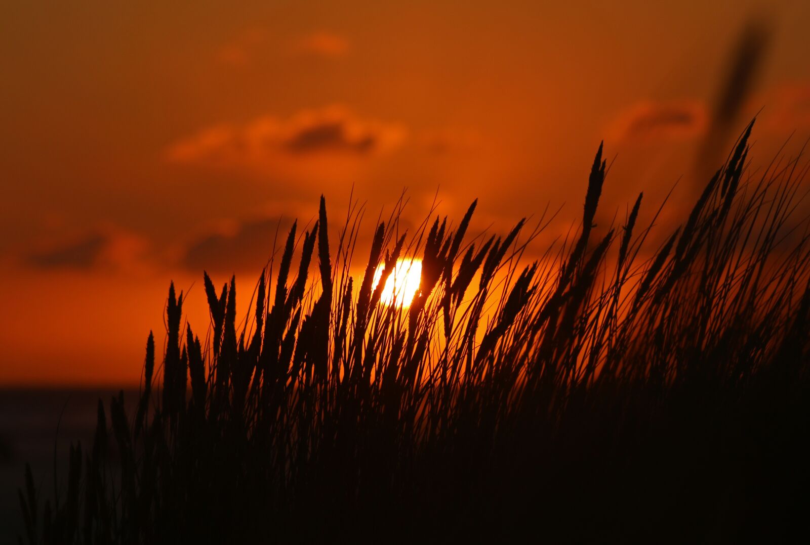 Canon EF75-300mm f/4-5.6 sample photo. Amrum, sun, sunset photography